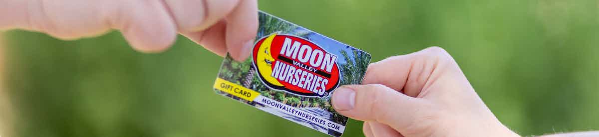 Moon-Valley-Nurseries-Gift-Card-Hero