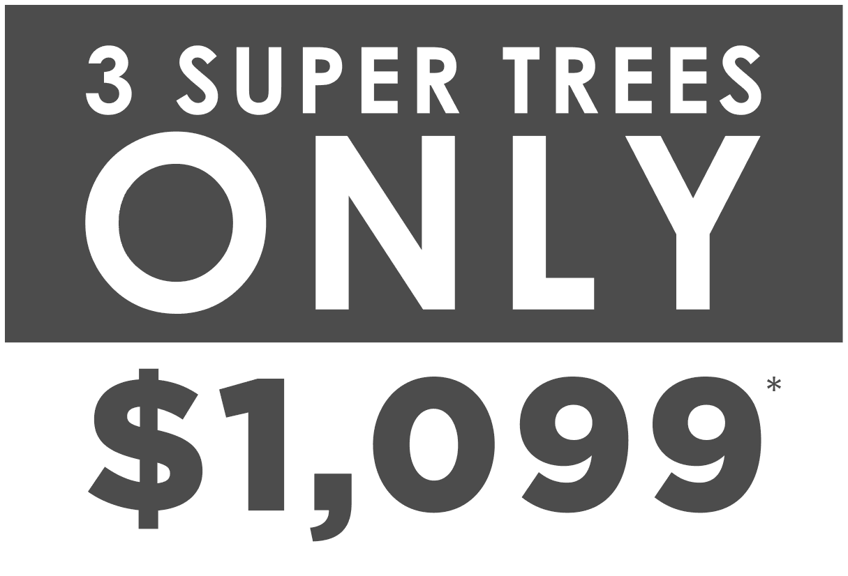 SuperTrees-Desktop-Asset.png