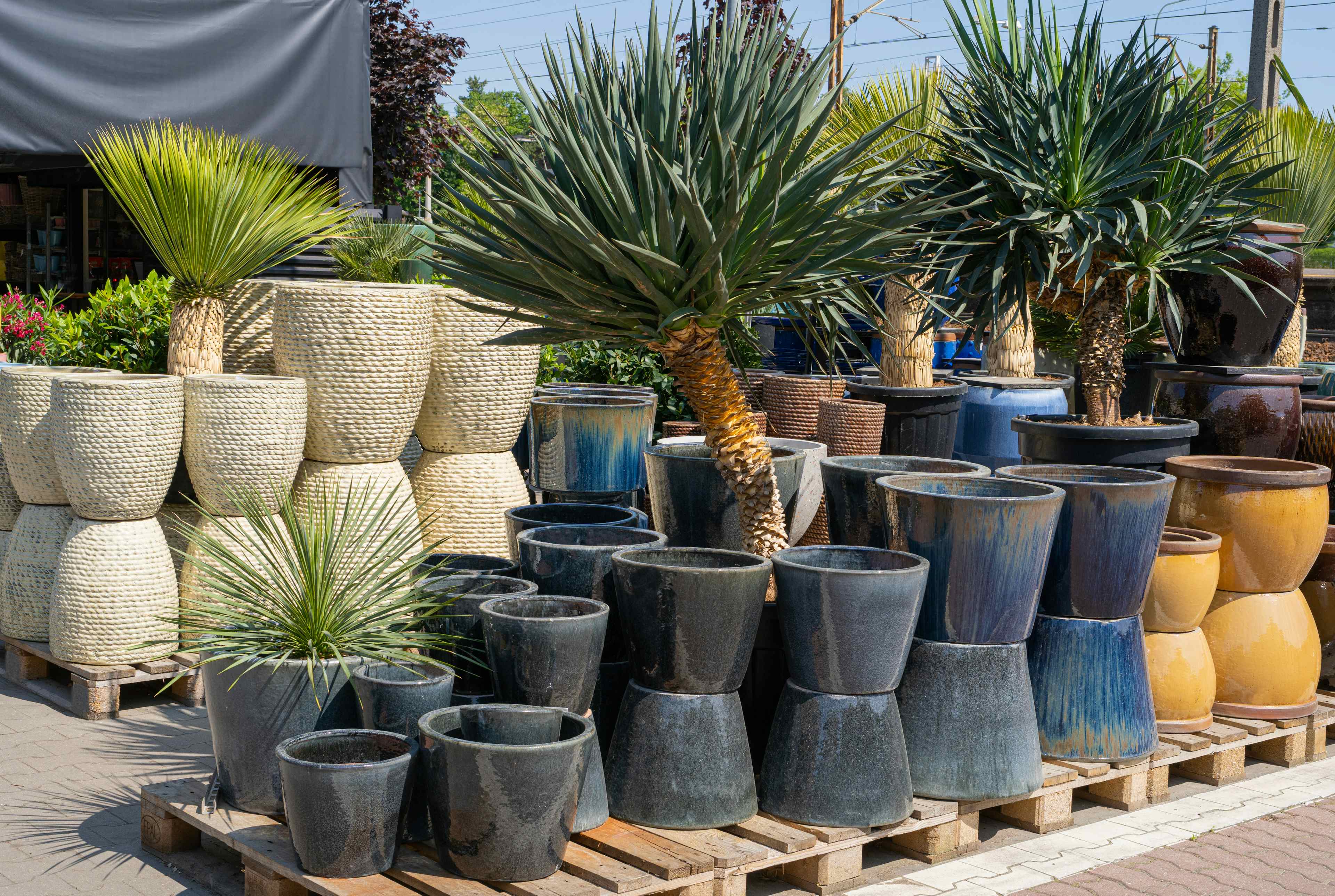A series of glazed plant pottery.