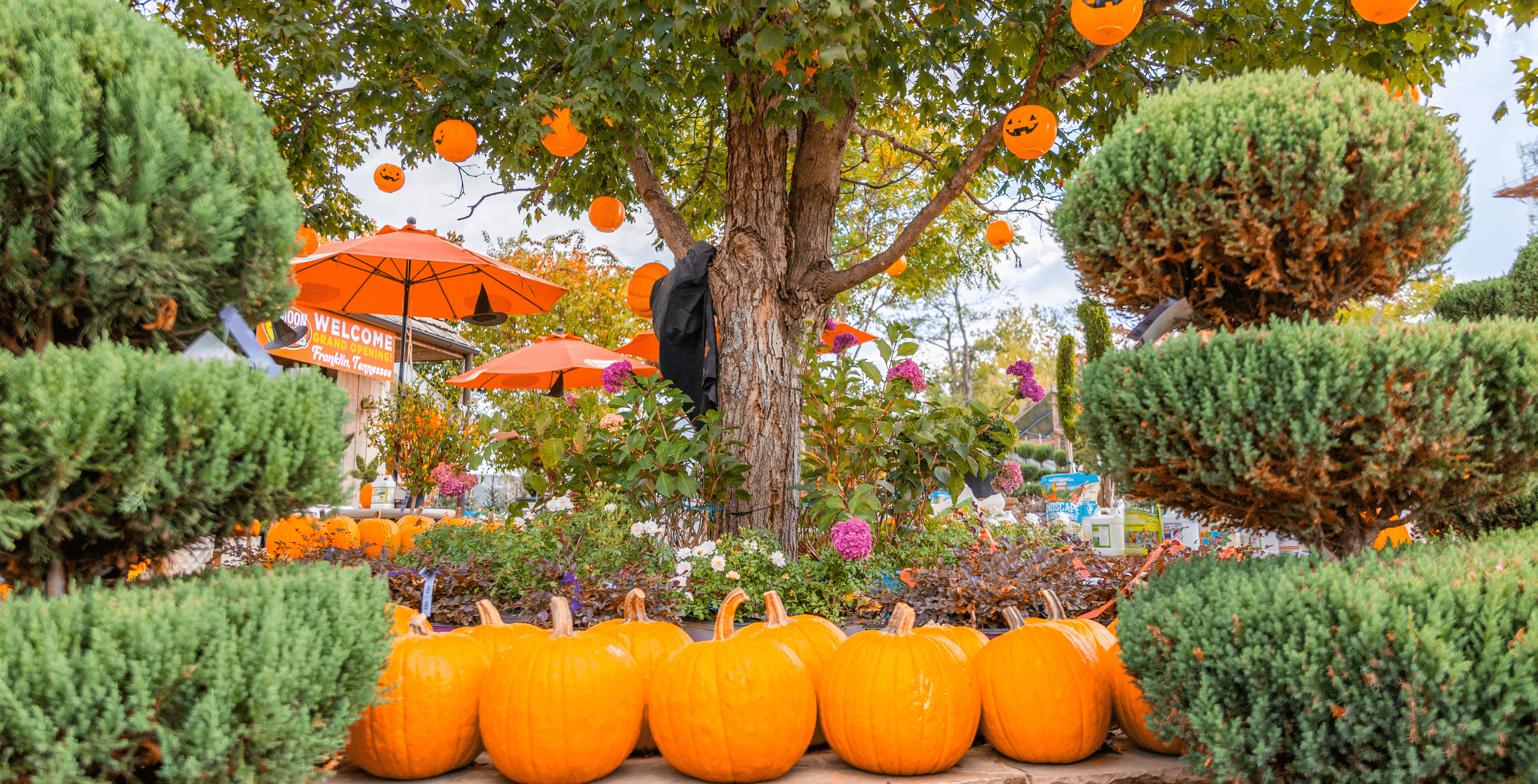 Moon Valley Nurseries Halloween Decor