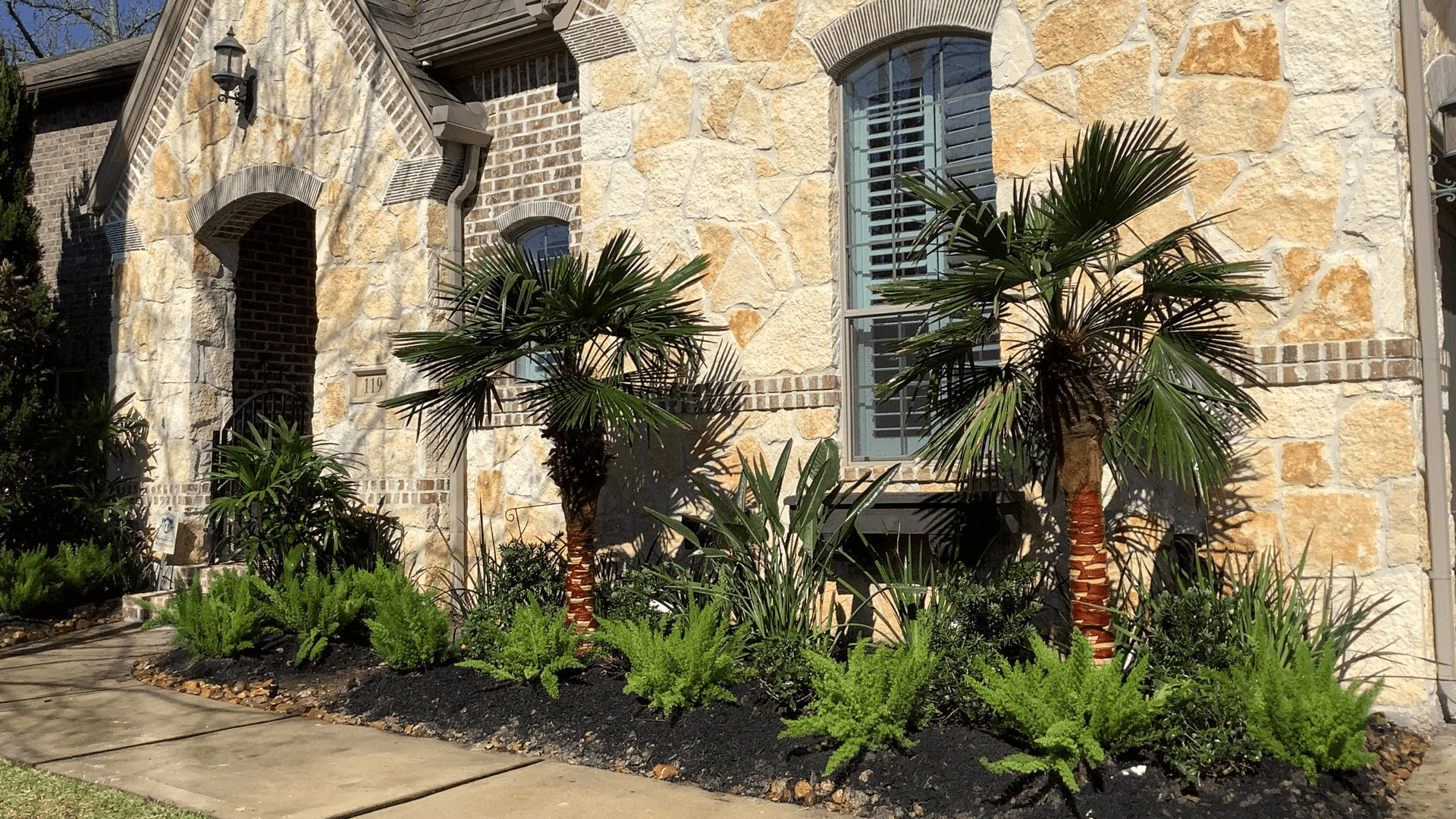 Texas Home Window After