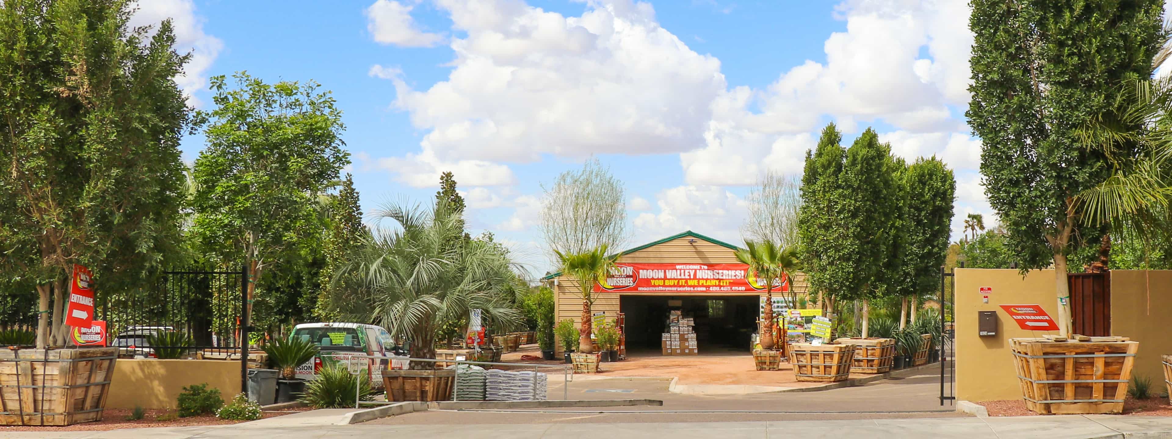 Moon Valley Nurseries East Phoenix