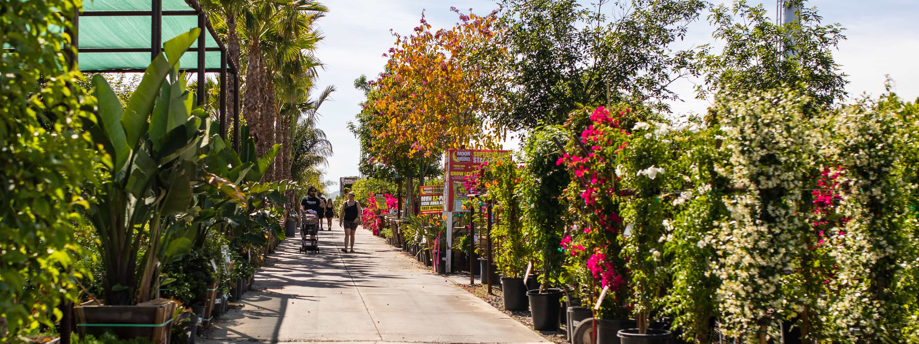 Moon Valley Nurseries Avondale