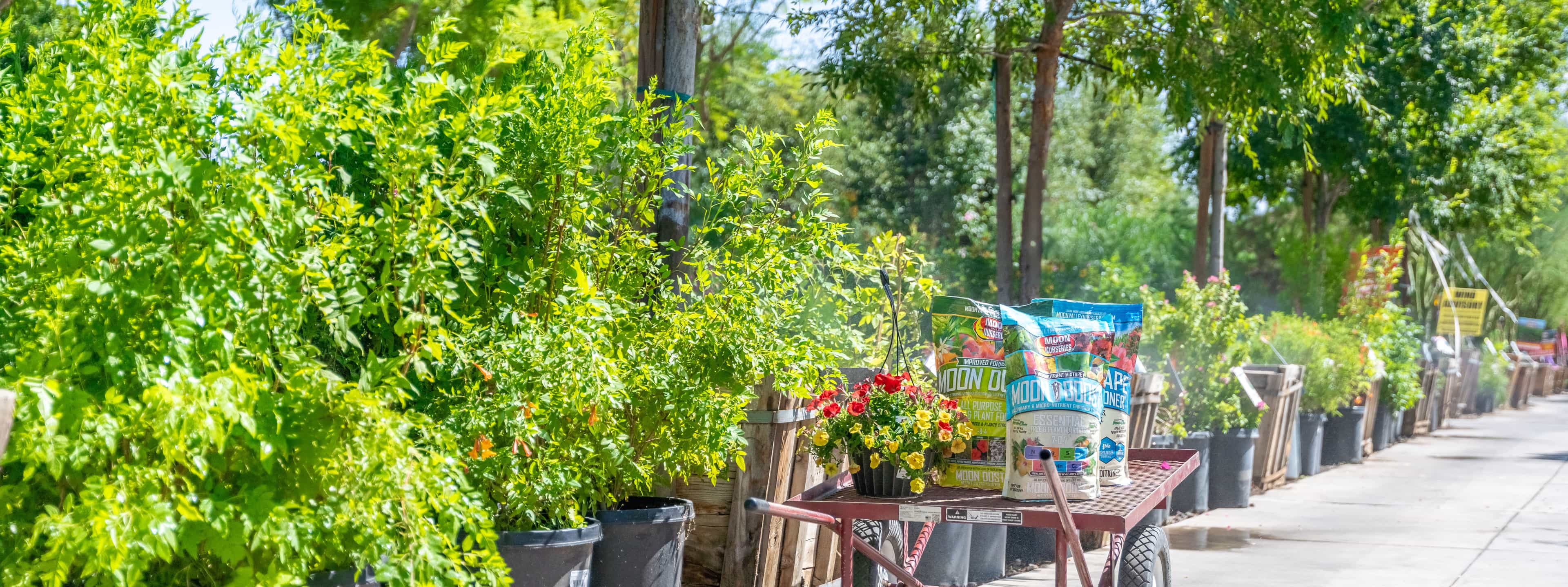 Moon Valley Nurseries Irvine