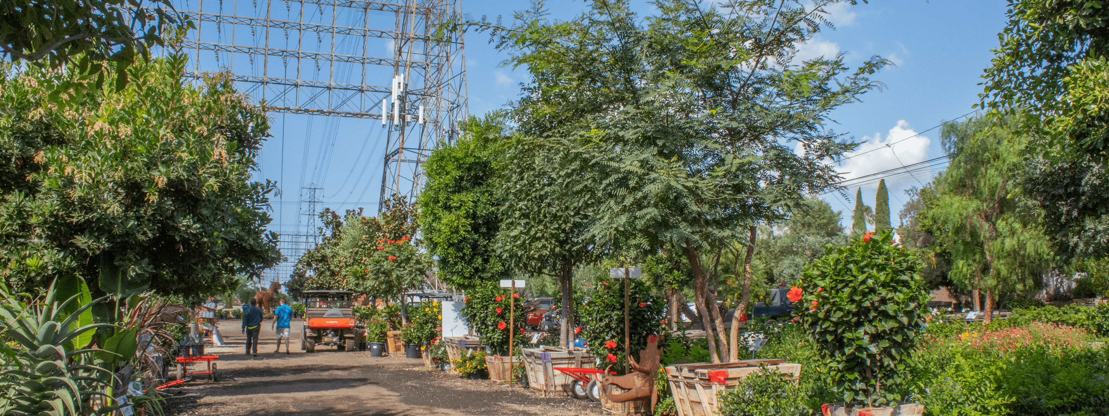 Moon Valley Nurseries Redondo Beach