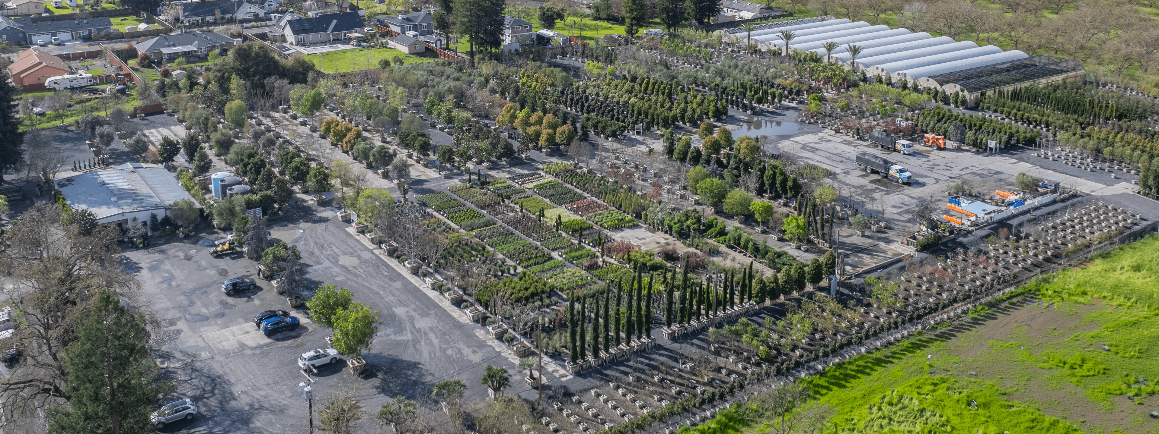 Moon Valley Nurseries Santa Rosa