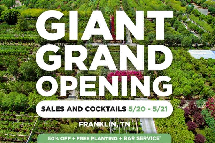 franklin grand opening.jpg