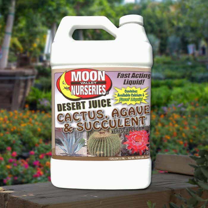 Image of Desert Juice