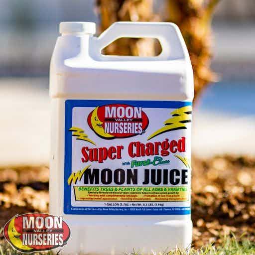 Super Charged Moon Juice