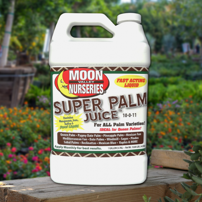 Image of Super Palm Juice