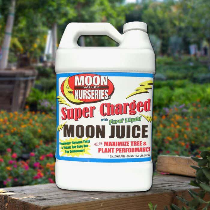 Image of Supercharged Moon Juice