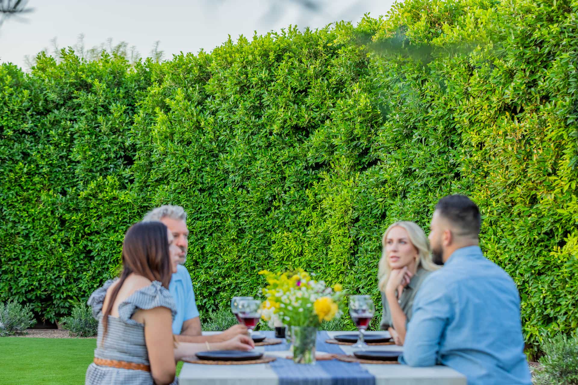 Huge privacy hedge behind a patio dining set with a group of people conversing.