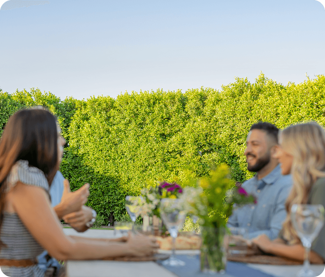 Huge privacy hedge behind a patio dining set with a group of people conversing.