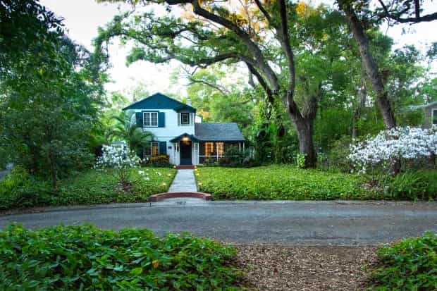 Grant Beuter, vice president of training and sales at Moon Valley Nurseries, revealed the best trees to make your home cool and reduce energy bills (stock image)